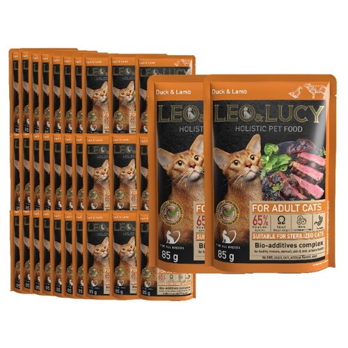  LEO&LUCY      Holistic Steril       , 85 * 32    -     , -,   