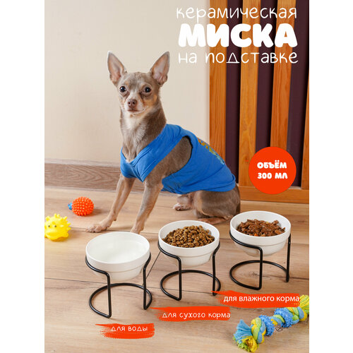 ���� ����� ������������ �� ��������� ��� ����� � ����� ������ �����, ������ ������