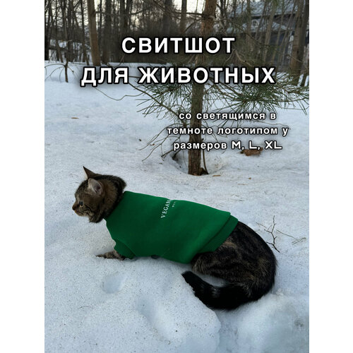 ���� ������� ��� �������� ( ��������� ��� ����� � �����) VEGANBASED �������/XL (35��), ������ ������