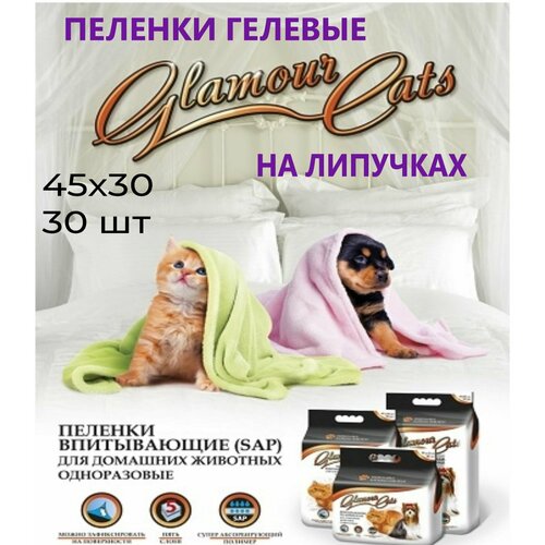       , ,  4530  30 , Glamour Cats,   SAP
