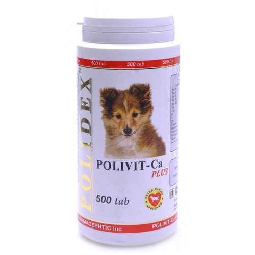   Polidex Polivit-Ca Plus , 500 .   -     , -  