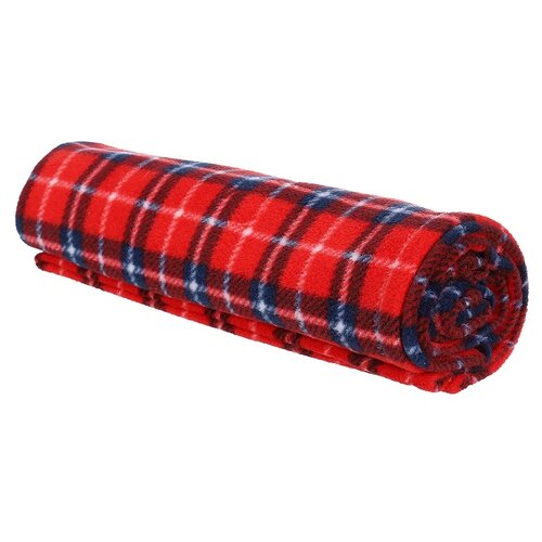 ���� ���� ��� ����� � ����� ���������� �������� 100�75 �� 100 �� 75 �� ������, ������ ������