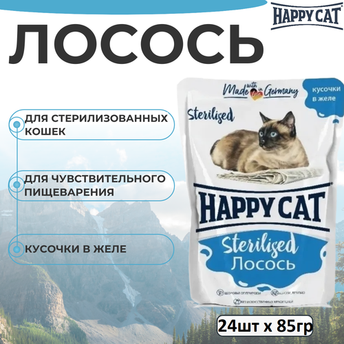    Happy Cat    ,    85  24   -     , -  