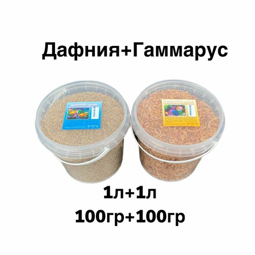 ���� ����������� ���� ��� ����������� � �������� ���. ����� - �������� , ������, ������ ������