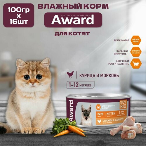    AWARD  ,     , , 16  100   -     , -  