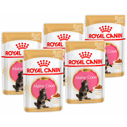  ROYAL CANIN MAINE COON KITTEN        85  85   5    -     , -  