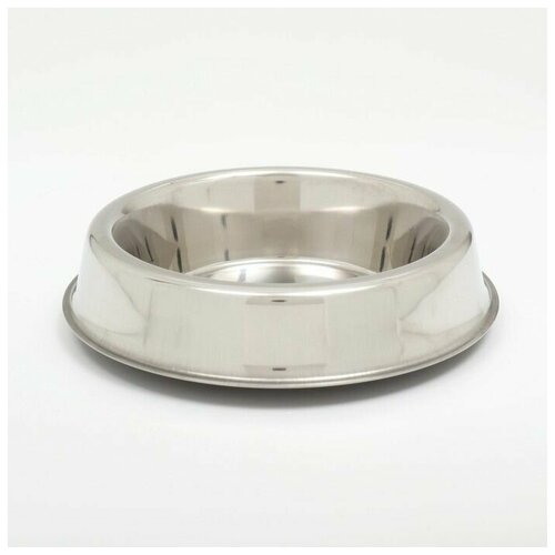 ���� ����� ��� �������� � ������������ ���������� � �������� �����, 900 ��, ������ ������