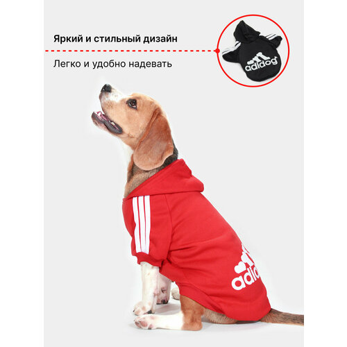 ���� ���������-���� ��� ����� � ����� ������ ��� �������� ������ (�����) � ���������, ������ ������