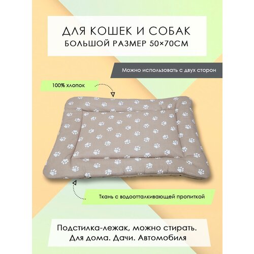 ���� ���������-����� ��� �����/����� 