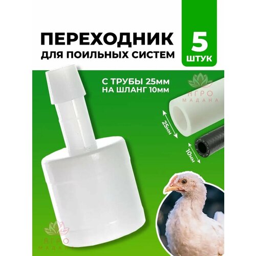 ���� ���������� � ����� 25�� �� ����� 10 �� 5 ��, ������ ������