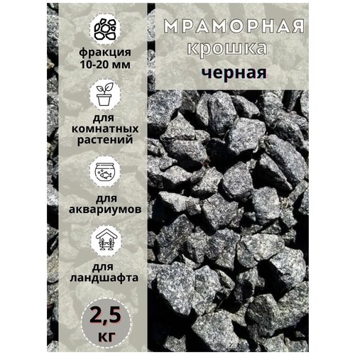 ���� ��������� ������ ������ 10-20�� ������� (2,5 ��) ����� ��� ���������, ������ ������