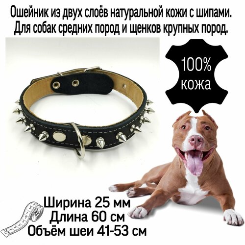 ���� ������� �� ����������� ���� � ������ ��� ����� ������� ����� � ������ 25 ��*60 ��, ����� ��� 41-53 ��. ��� ���� ����������� ����., ������ ������