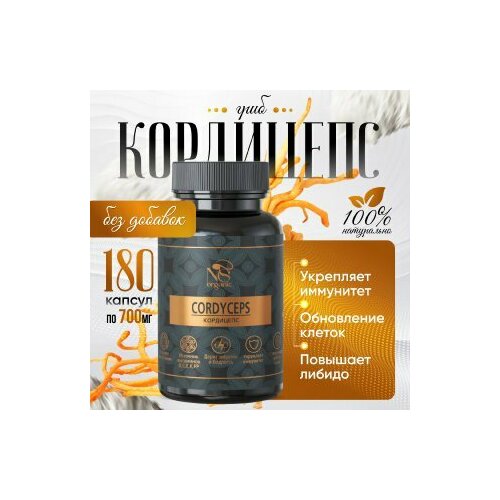 ���� ��������� � �������� �� 700 ��, ��������� 180 ��., ������ ������