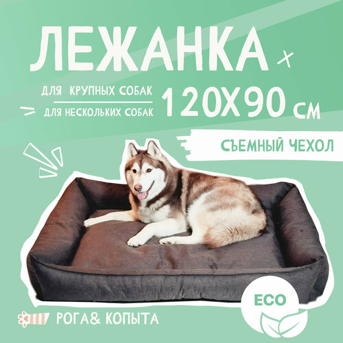 ���� ������� ��� ������ �� ������� ������ ��� ������� � ������� �����,120x90 ��, ������ ������