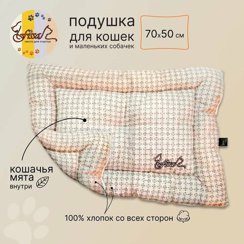 ���� ������� ��� �������� FISSA, ��������� 