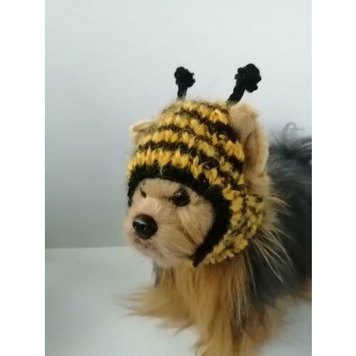 ���� ����� ��� ��������� �����, ������ ������