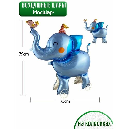 ���� ��������� ��� ������� ������ ���� �� ���������, ������ ������