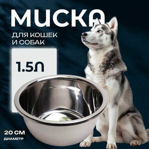 ���� ����� 20 �� �������� ������� ��� �����, ������ ������� � ������� �����, ����� �������� ������������� �� ����������� ����� ��� ������� �������� �� ����������, ������ ������