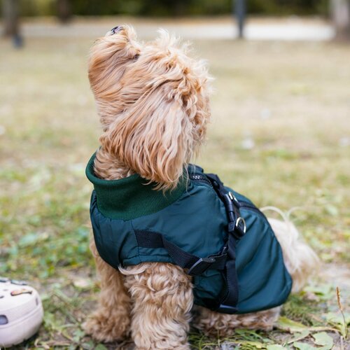 ���� ������� ��� �����, ������ ��� ����� 