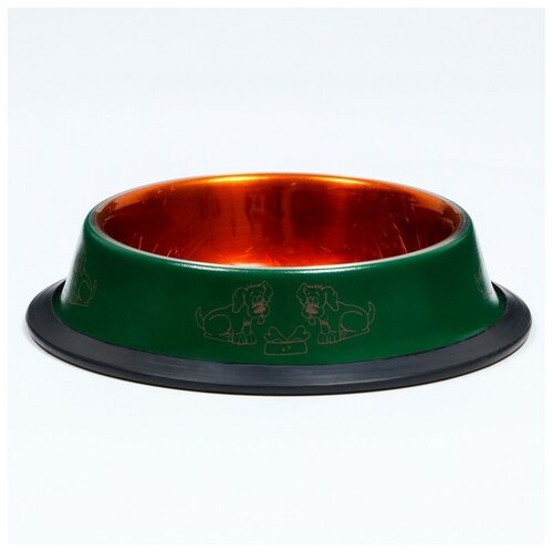 ���� ����� � ������������ ���������� ������������ �������, 230 ��, ������ 5505017, ������ ������