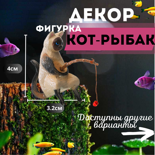 ���� ����� � �������/��� ����� ��� ���������. ��������� ��� ���������., ������ ������