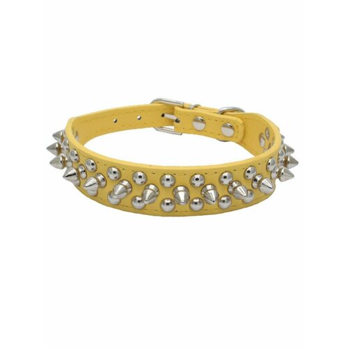 ���� ������� S � ������ ��� ����� � �����, ������ ������