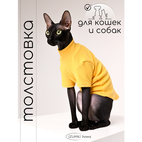 ���� ��������� �� ����� ��� ��������, ������ ������