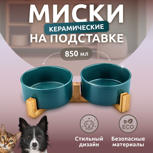 ���� ����� ��� �����, �������, ������ ������