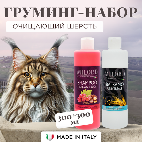 ���� �������� ����� ������� ��� ����� ��������� �������� � ������� ����������������� �������, ������������ ��� ���� ����� ������, MILORD ������, 300+300 ��, ������ ������