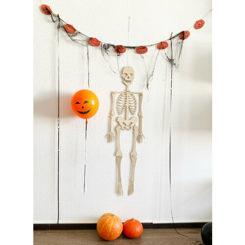      ,  Halloween   -     , -  