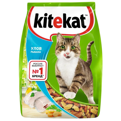      Kitekat   4 .  4 .  1900    -     , -  