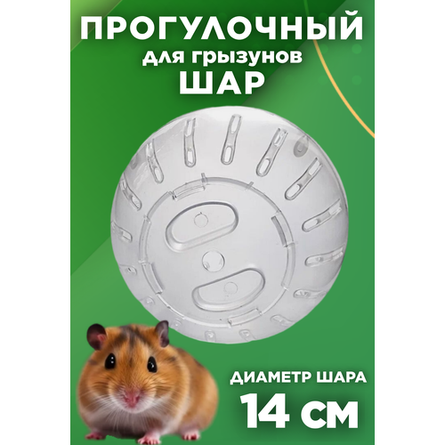 ���� ��� ����������� ��� ������� , ��� ��� ��������, ������� ��� �������� 140 ��. ����������, ������ ������