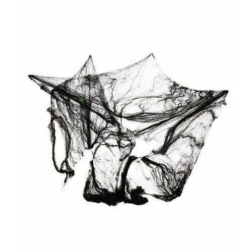 ���� ������� ������, ������ ������