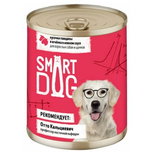  Smart Dog               2216 43752, 0,850    -     , -,   