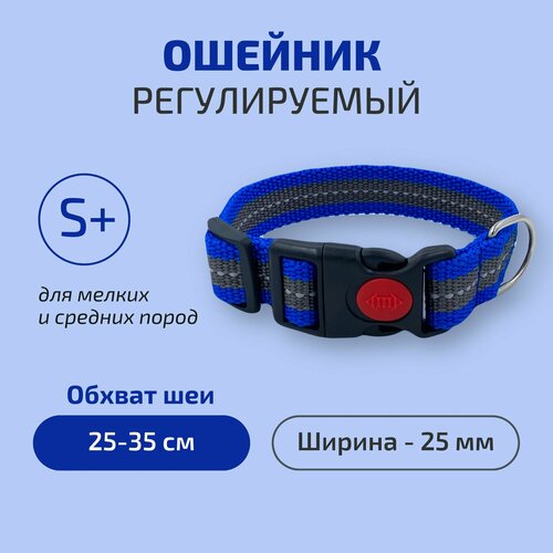 ���� ������� 25 ��, ��� 25-35 ��, ����-�����, ������ ������