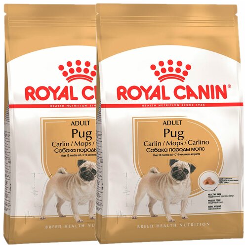  ROYAL CANIN PUG ADULT     (0,5  + 0,5 )   -     , -  