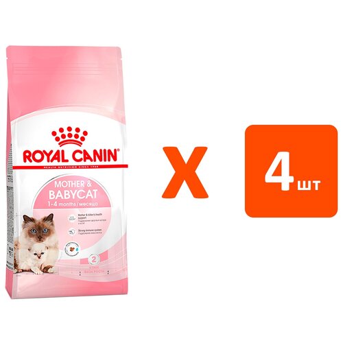  ROYAL CANIN MOTHER & BABYCAT 34    4 ,     (4   4 )