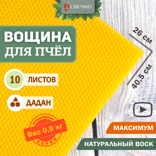 ���� ������ ��� ���� ����� ��������, ������ ������