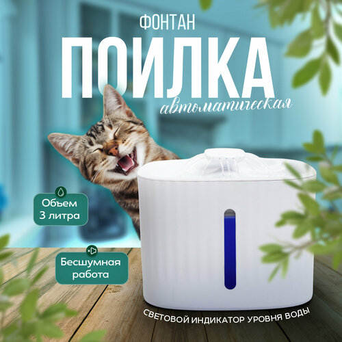 ���� ������ ��� ����� � ����� / �������� / ������ ������������� / ���������� / ���������, ������ ������