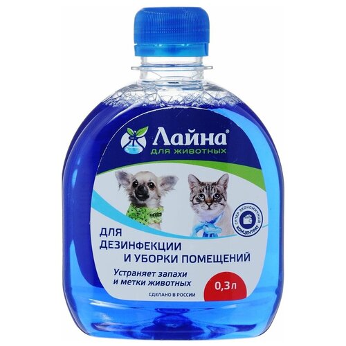 ���� ������ ������ �������� ����� ��������������� , 300 �� , 333 �, ������ ������