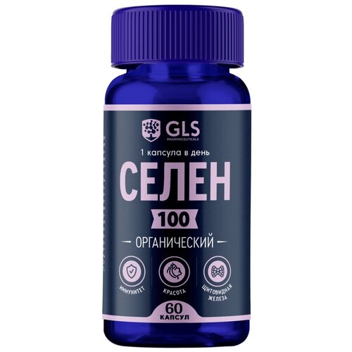 ���� ����� ����., 100 ���, 60 ��, 45 �, 60 ��., ������ ������