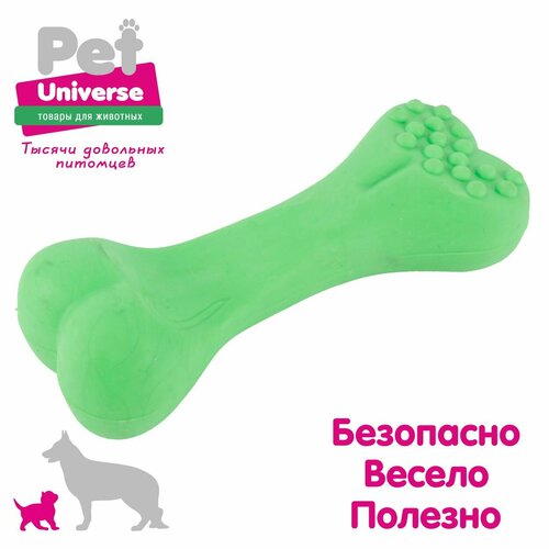     Pet Universe   , 12 , ,  PU3071GN   -     , -  