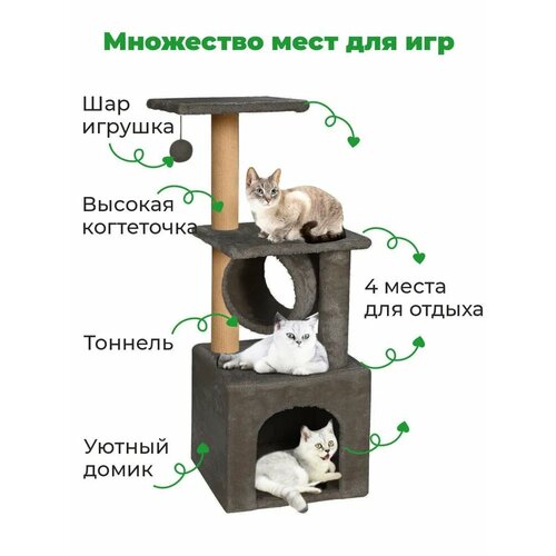 ���� ���������� ��� ����� � �������-������� 