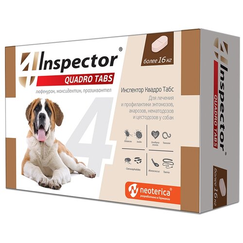  Inspector      Quadro Tabs  16      4 .  ., 1 .   -     , -  