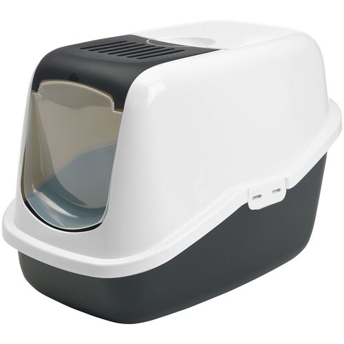 ���� �������� ������ ��� ����� SAVIC Nestor, ������ ������