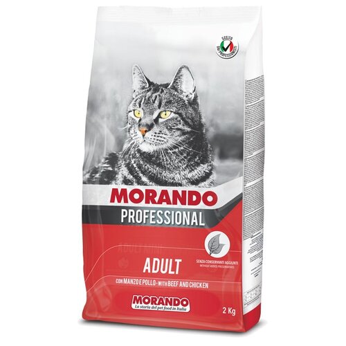    Morando Professional Gatto       , 15 