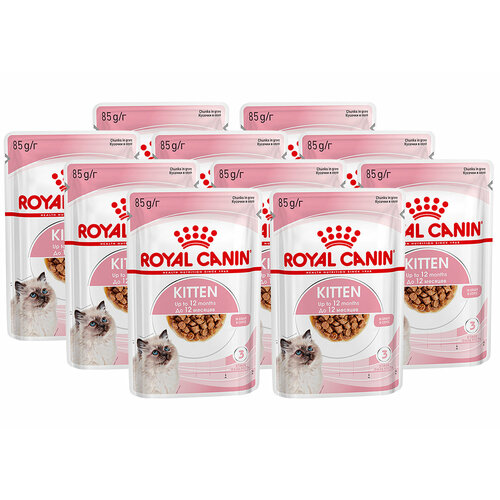  ROYAL CANIN KITTEN      85  85   10    -     , -  