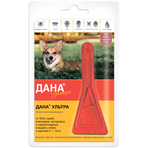 ���� Apicenna ����� �� ���� � ������ ���� ������ ��� �����, ������, �����, ��� �������� �������� 1 ��. � ��., 1 ��., ������ ������