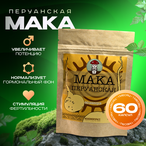 ���� ��������������� ������ MUHOMORSPACE ���������� ����, �������� � ��������, ����� �� �����, 60 ������ �������� � ������, ������ ������