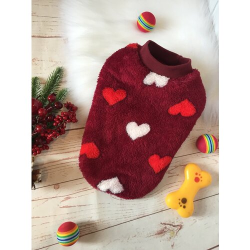 ���� ����������, ����� ��� �����, ��������, ��������� ������ ��� �����, ������ ������